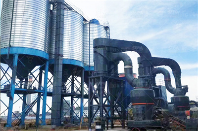 「星辰大海」福建诏安：小牡蛎撬动产值4亿大产业